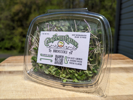 Broccoli Microgreens